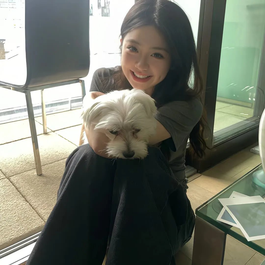 我的情敌女婿
